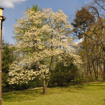 4th Core Group meeting, Warsaw, April 2015